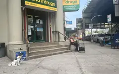 Echo Drugs Inc., 260 Broadway, street view