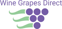 Wine Grapes Direct