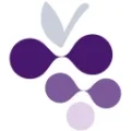 Beyond Vino logo